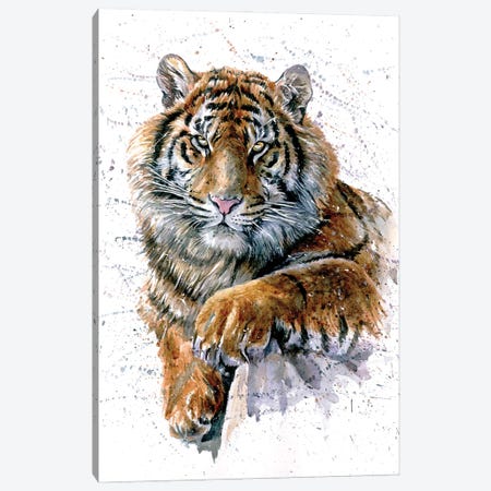 Tiger II Canvas Print #KNK62} by Konstantin Kalinin Canvas Artwork