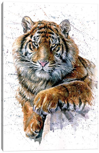 Tiger II Canvas Art Print - Konstantin Kalinin