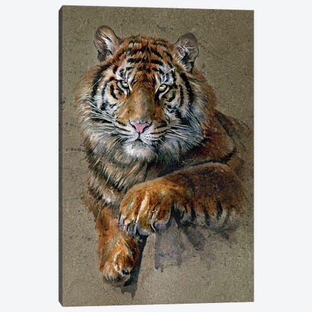 Tiger Brown Canvas Print #KNK63} by Konstantin Kalinin Canvas Art