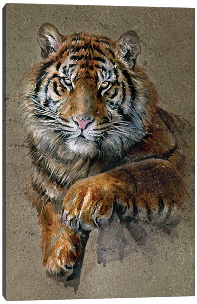 Tiger Brown Canvas Art Print - Konstantin Kalinin