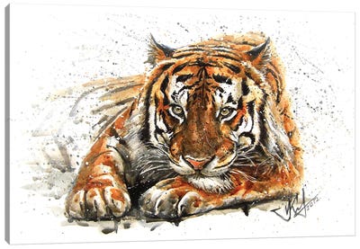 Tiger Canvas Art Print - Konstantin Kalinin