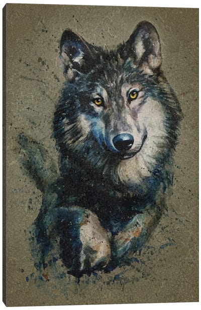 Wolf II Canvas Art Print - Konstantin Kalinin