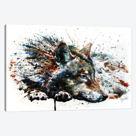 Wolf III Canvas Print #KNK68} by Konstantin Kalinin Canvas Art