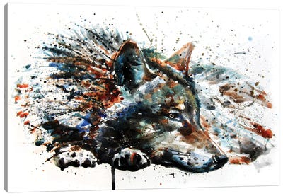 Wolf III Canvas Art Print - Wolf Art