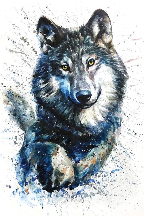 Wolf IV