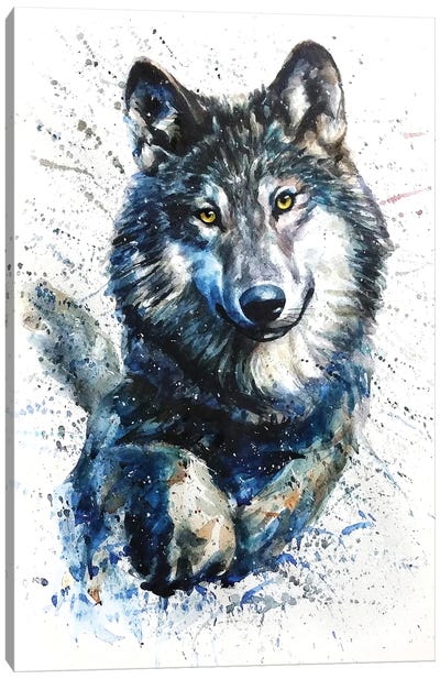Wolf IV Canvas Art Print - Konstantin Kalinin