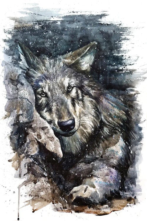 Wolf Life