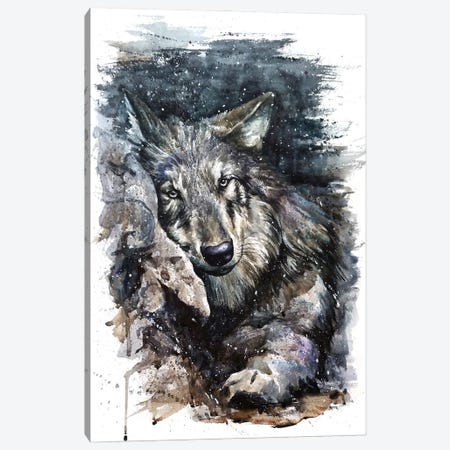 Wolf Life Canvas Print #KNK76} by Konstantin Kalinin Canvas Artwork