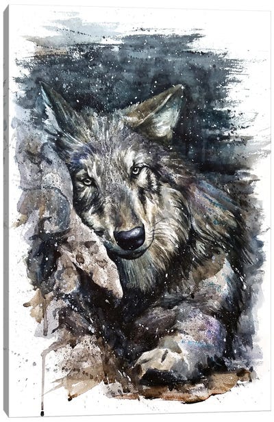 Wolf Life Canvas Art Print - Konstantin Kalinin