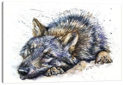 Wolf Watercolor Canvas Art Print - Konstantin Kalinin