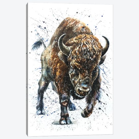 Buffalo II Canvas Print #KNK7} by Konstantin Kalinin Canvas Art