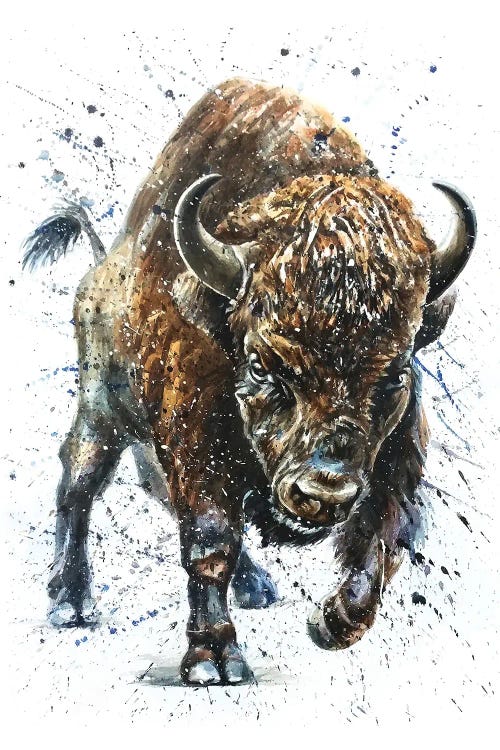 Buffalo II