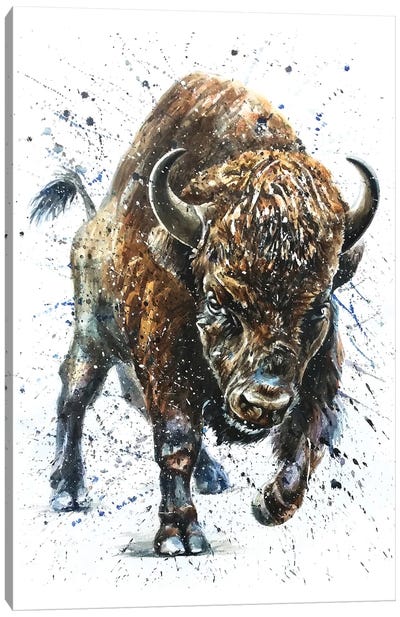 Buffalo II Canvas Art Print - Konstantin Kalinin