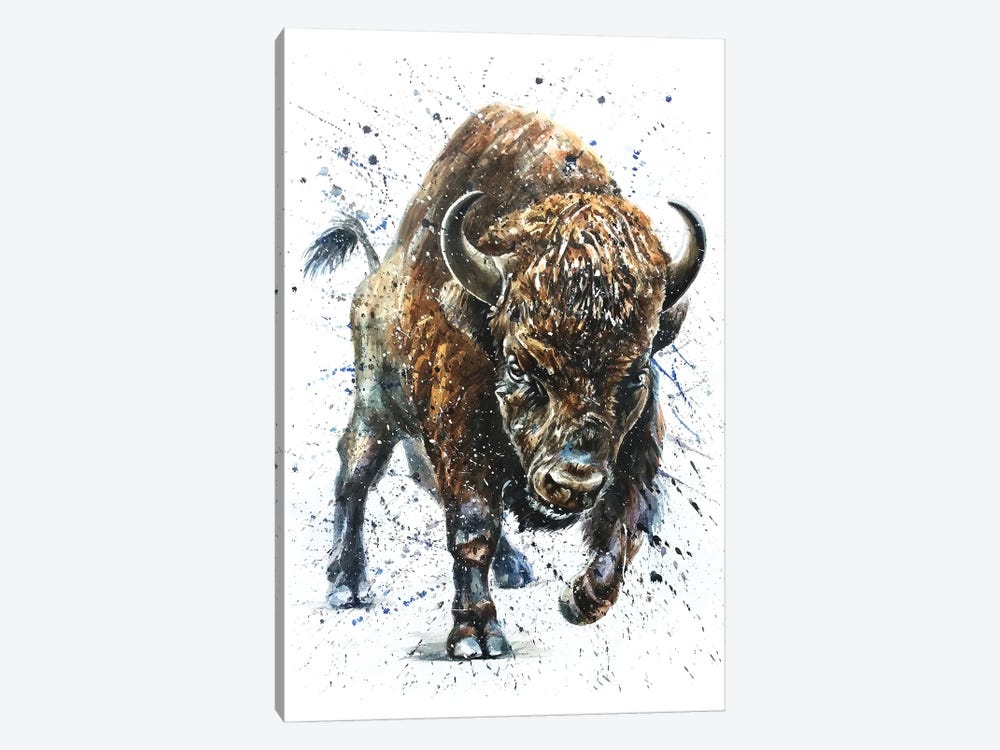 Buffalo II by Konstantin Kalinin 1-piece Canvas Art Print