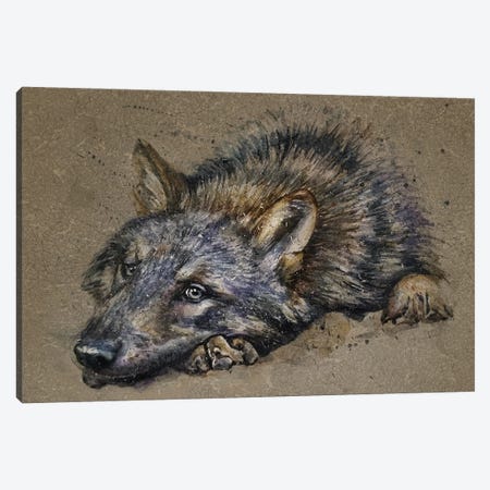 Wolf Canvas Print #KNK80} by Konstantin Kalinin Canvas Art
