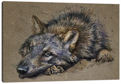 Wolf Canvas Art Print - Konstantin Kalinin