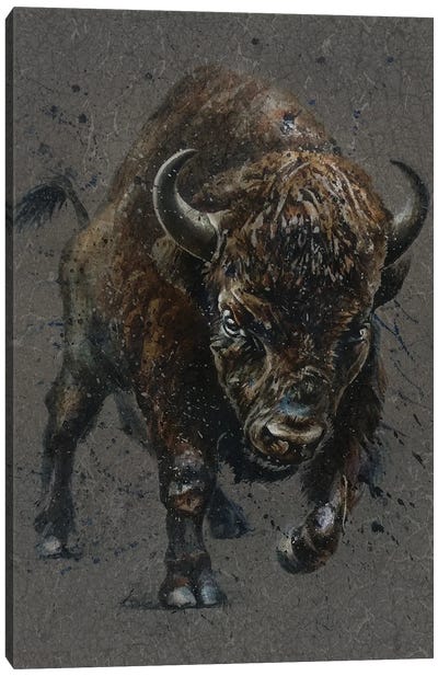 Buffalo Brown Canvas Art Print - Konstantin Kalinin