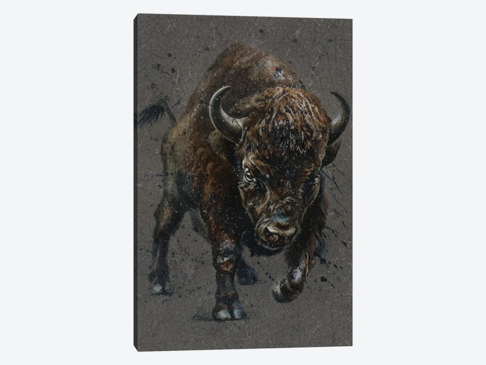 Buffalo Brown by Konstantin Kalinin 1-piece Canvas Print