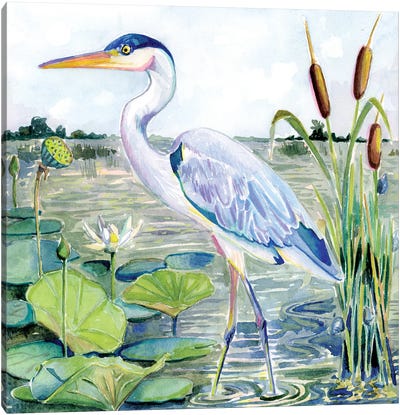 Lowcountry Living XVI Canvas Art Print - Great Blue Heron Art