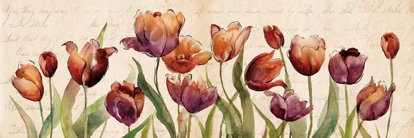 Tulips: Bow to Summer II by Conrad Knutsen
