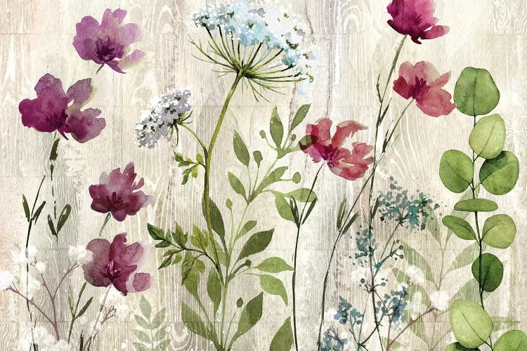 Meadow Flowers I