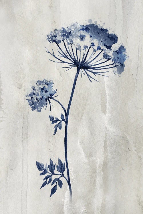 Indigo Botanical I by Conrad Knutsen wall art