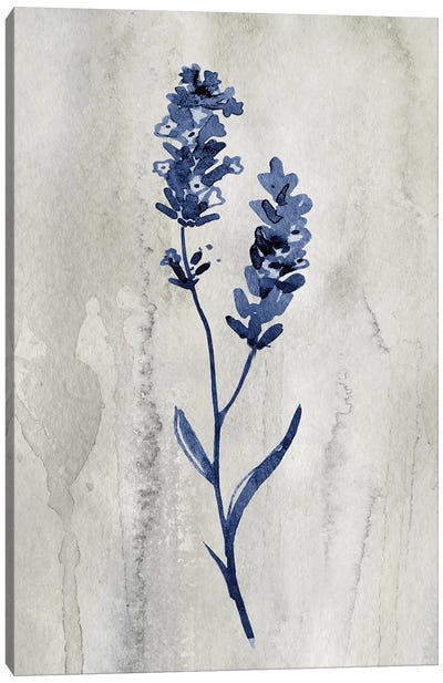 Indigo Botanical II Canvas Art Print - Minimalist Flowers