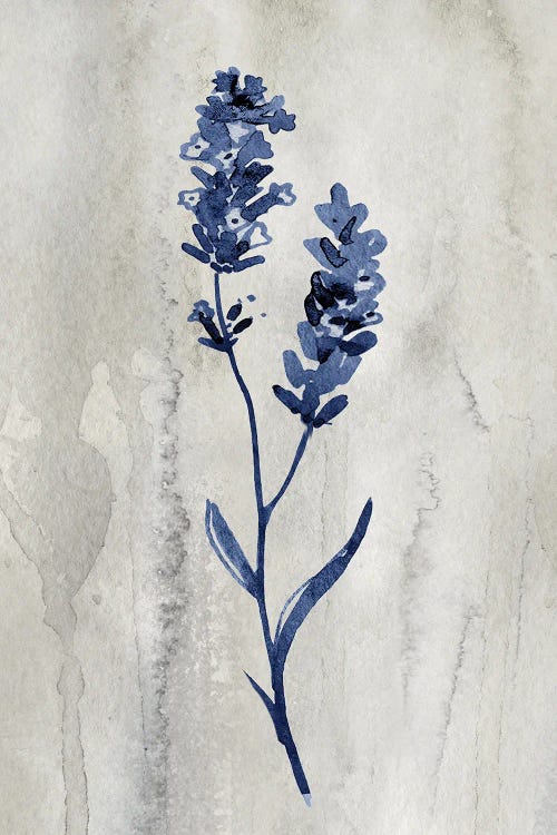 Indigo Botanical II