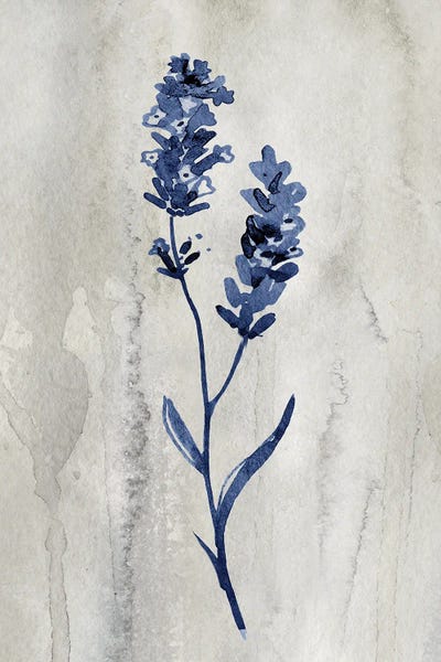 Minimalist Flowers: Indigo Botanical II by Conrad Knutsen