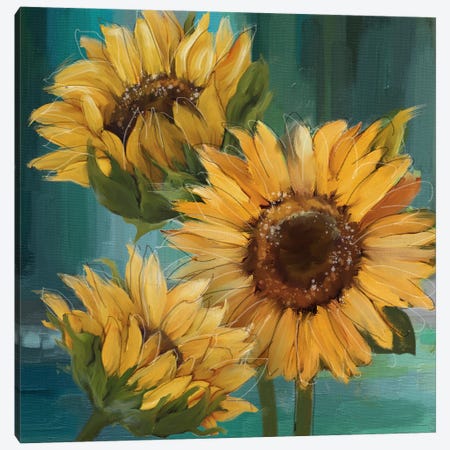 Sunflower I Canvas Print #KNU132} by Conrad Knutsen Canvas Wall Art
