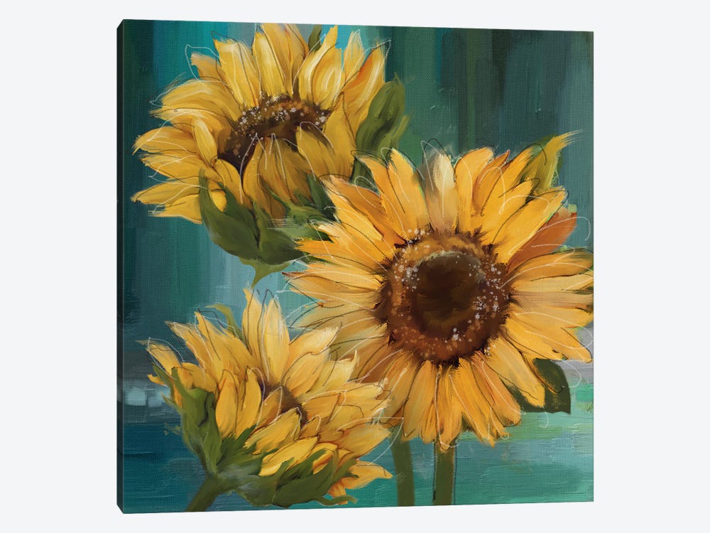 Sunflower I by Conrad Knutsen 1-piece Art Print