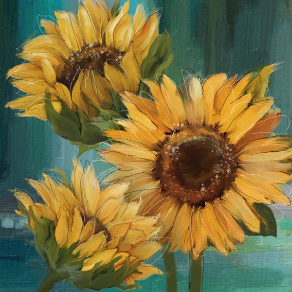 Still Life: Sunflower I by Conrad Knutsen