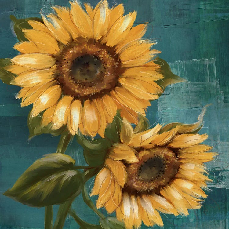 Sunflower II by Conrad Knutsen wall art