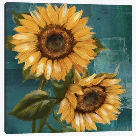 Sunflower II Canvas Print #KNU133} by Conrad Knutsen Canvas Wall Art