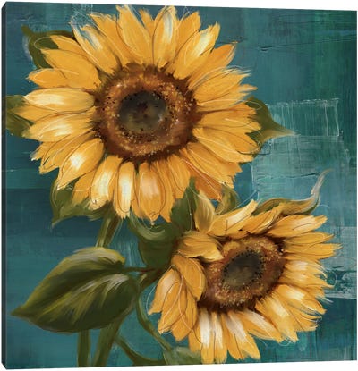 Sunflower II Canvas Art Print - Botanical Still Life