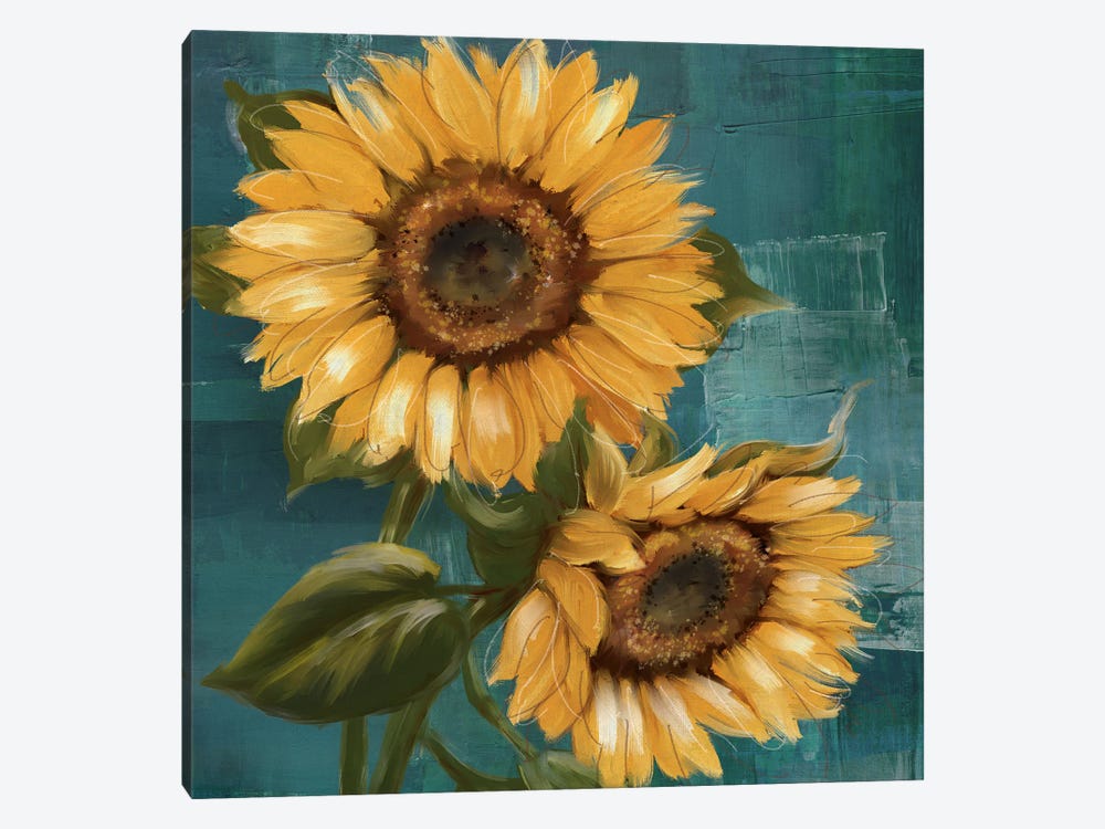 Sunflower II by Conrad Knutsen 1-piece Canvas Artwork