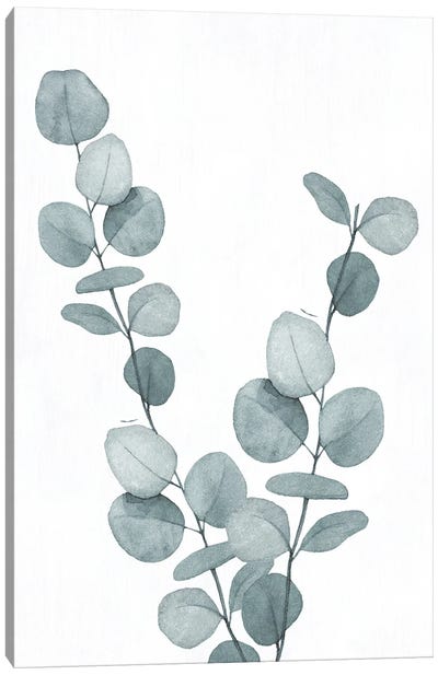 Blue Botanical Wash III Canvas Art Print - Conrad Knutsen