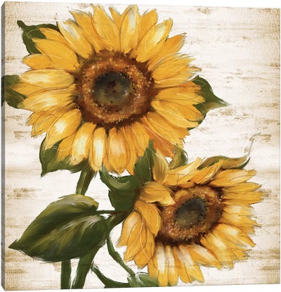 Sunflower Summer II Canvas Art Print - Sunflower Art