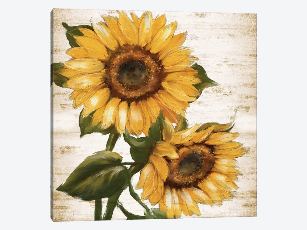 Sunflower Summer II by Conrad Knutsen 1-piece Canvas Artwork