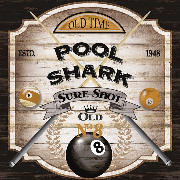 Pool & Billiards: Pool Shark by Conrad Knutsen