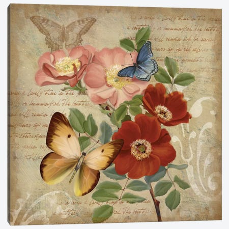 Butterfly Botanical I Canvas Print #KNU16} by Conrad Knutsen Canvas Wall Art
