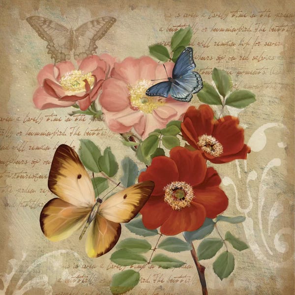 Butterflies and Flowers: Butterfly Botanical I by Conrad Knutsen