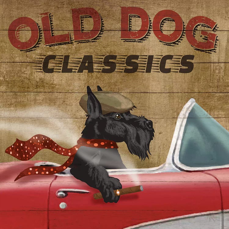 Old Dog Classics by Conrad Knutsen wall art