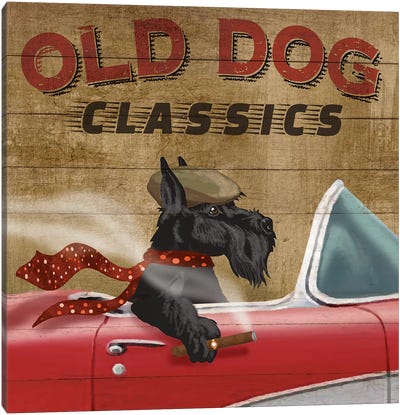 Old Dog Classics Canvas Art Print - Schnauzer Art