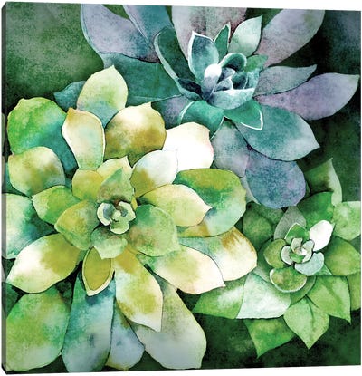 Summer Succulents Canvas Art Print - Earthen Greenery
