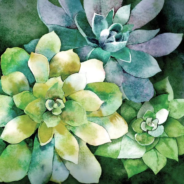 Nature Lover: Summer Succulents by Conrad Knutsen