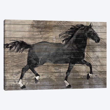 Barnwood Horse Canvas Print #KNU59} by Conrad Knutsen Canvas Print