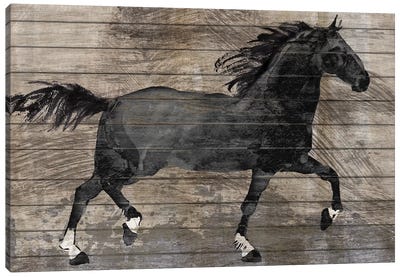 Barnwood Horse Canvas Art Print - Conrad Knutsen