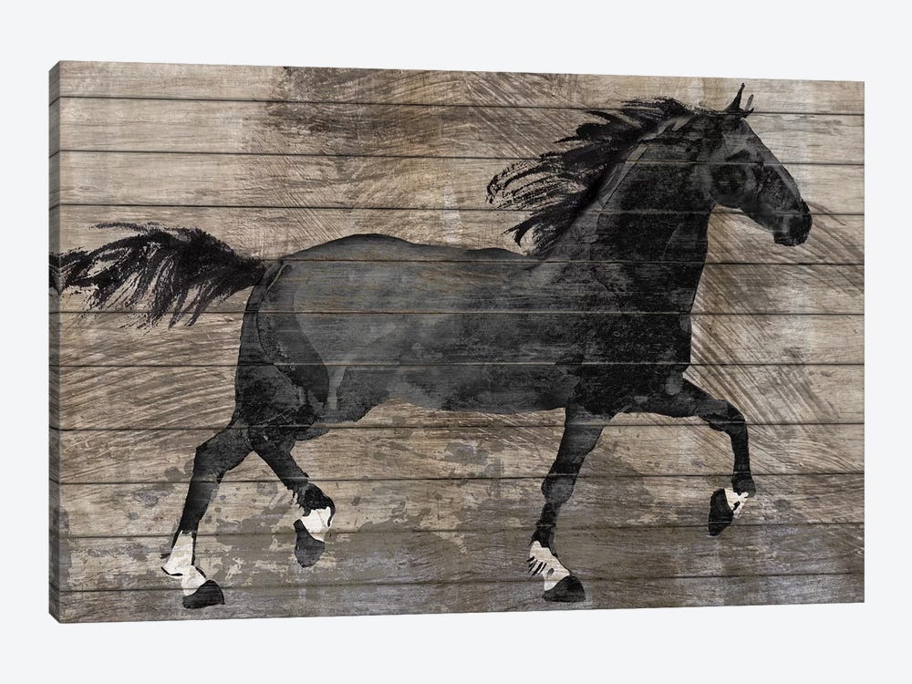 Barnwood Horse by Conrad Knutsen 1-piece Canvas Wall Art