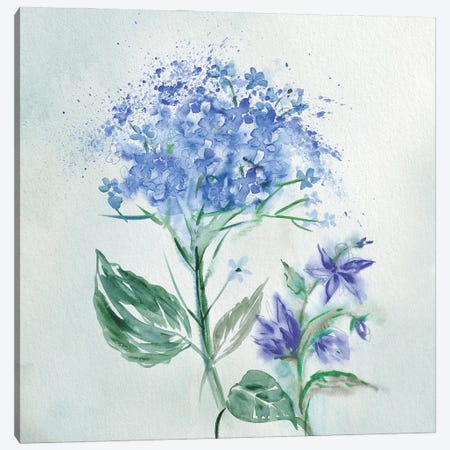 Blue Flower Wash I Canvas Print #KNU60} by Conrad Knutsen Canvas Wall Art
